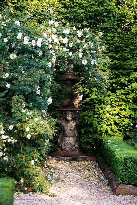 23 Beautiful Country Garden Ideas Australia Garden Ideas Australia, Country House Garden, Country Garden Ideas, Southern Gardens, Peony Farm, Village Garden, Cottage Backyard, High Country Gardens, Heritage Rose