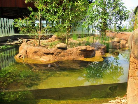 Zoo Enclosures Ideas, Zoo Habitats, Zoo Exhibit, Zoo Decor, Animal Rescue Ideas, Zoo Boo, Animal Enclosures, Zoo Games, Zoo Inspiration