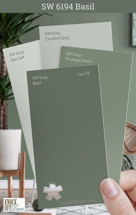 Coordinating Green Paint Colors, Sage Green Waynes Coating, Privilege Green Color Palette, Sherwin Williams Green Bedroom Colors, Basil Sw Paint, Sherwin Williams Basil Bedroom, Wild Basil Paint Color, Basil Green Sherwin Williams, Greenfield Sherwin Williams