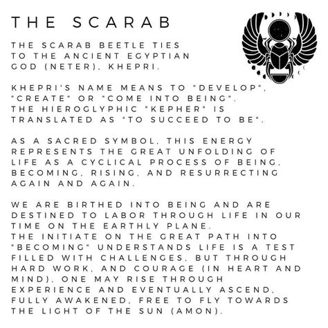 The scarab is a sacred symbol, which represents the cyclical process of life.   Symbolized with a ball carried between its legs, which is fractal in its symbolism as it represents the cycles of the sun, which renews itself each day as it rises and sets, and man, who is birthed into being, and becomes through his labor as he too rises and sets.   Rebirth comes from decomposition, and we then resurrect and rise to shine.  We age through time and eventually fall to sleep, but in between, we dream Scarab Meaning Ancient Egypt, Scarab Tattoo Meaning, Scarab Beetle Tattoo Meaning, Symbols Of Rebirth, Egyptian Sun Symbol, Scarab Beetle Meaning, Scarab Meaning, Scarab Beetle Tattoo Egyptian, Beetle Symbolism