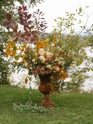 The Best Fall Wedding Flowers in Vogue Fall Foliage Wedding, September Bride, Flower Arches, White Ranunculus, Romantic Backdrop, Colors Of Fall, Touch Of Gray, Countryside Wedding, Fall Wedding Flowers