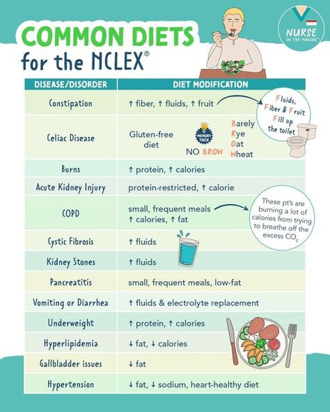 NurseInTheMaking on Instagram: "Common Diets for the NCLEX. 🍔 🥦 🍽️ 💦 You should definitely be familiar with these for nursing school and for the NCLEX! Constipation: ↑ Fiber, ↑ Fluids, ↑ Fruit Celiac Disease: Gluten-free diet Burns: ↑ Protein, ↑ Calorie Acute Kidney Injury: Protein-restricted, ↑ calorie COPD: Small, frequent meals ↑ Calories, ↑ Fat Cystic Fibrosis: ↑ Fluids Kidney Stones: ↑ Fluids Pancreatitis: Small, frequent meals, low-fat Vomiting or Diarrhea: ↑ Fluids & electrol Therapeutic Diets Nursing, Kidney Nursing Notes, Meals Calories, Nursing School Studying Cheat Sheets, Nclex Study Guide, Acute Kidney Injury, Nclex Review, Nursing School Essential, Nursing School Motivation