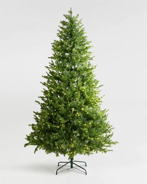 Fraser Fir Christmas Tree Balsam Fir Christmas Tree, Fraser Fir Christmas Tree, Fraser Fir, Fir Christmas Tree, Retail Lighting, Balsam Fir, Forest Green Color, Fir Tree, Metal Tree