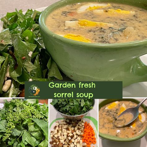 Recipes & Me French Sorrel, Fresh Parsley Recipes, Sorrel Plant, Sorrel Soup, Sausage Potato Soup, Fresh Herb Recipes, Recipes French, Parsley Recipes, Vegetarian Sausages