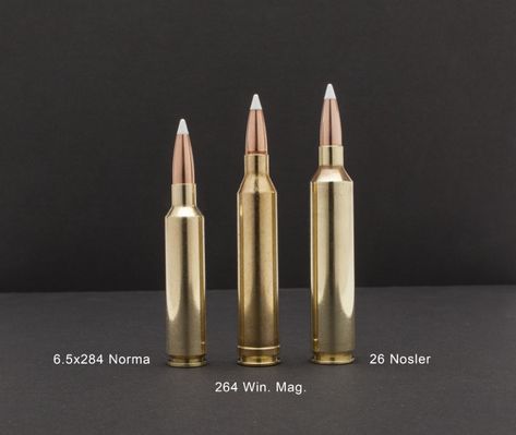 Can 264 Winchester Magnum Rise From Dead? 45 Magnum, 243 Winchester, Magnum Revolver, 300 Winchester Magnum, 500 S&w Magnum, Hollow Point, 357 Magnum Revolver, Winchester, Canning