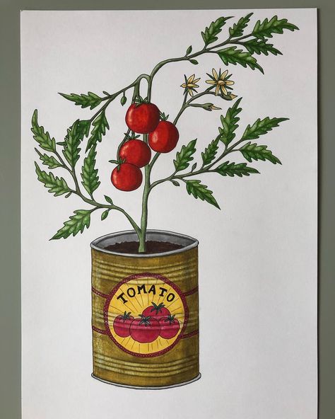 Canned tomato plant 🍅 Illustration for @hortusamsterdam For a coming Hortus Amsterdam exposition…' Tomato Plant Illustration, Tomato Tattoo, Tomato Drawing, Eco Farm, Plant Sketches, Plant Doodle, Tomato Plant, Plant Tattoo, Arm Sleeve Tattoos