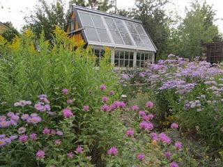 Gardening with native perennial flowers, a bit more research ahead of time, but what a wonderful garden it will be. Native Plant Landscape, Outdoor Space Design, Garden Bugs, Native Plant Gardening, Green Houses, Garden Rooms, Wildlife Gardening, Garden Sheds, Tree Houses