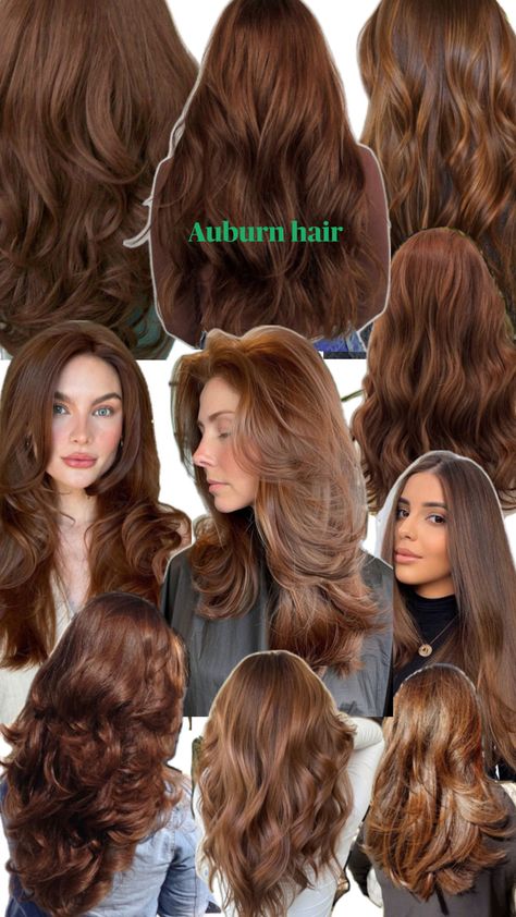 deep reddish brown hair colour, hints of orange Hair Dye Ideas Auburn, Dark Amber Hair Color Brown, Cute Hair Colors For Winter, Dark Natural Auburn Hair, Copper Undertone Brown Hair, Brown With A Hint Of Red Hair, Dark Orange Brown Hair Color, Should I Dye My Hair Brown, Auburn Hair Colour Ideas