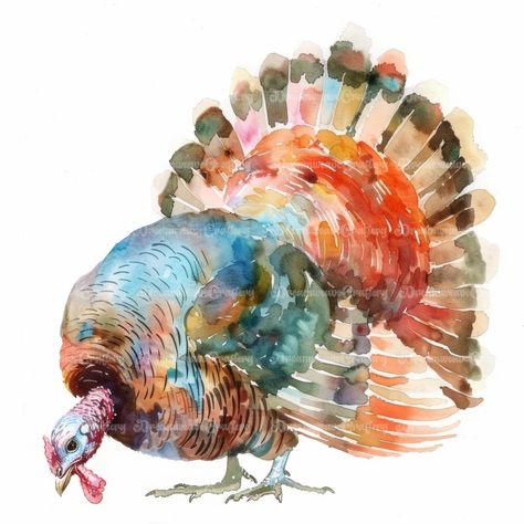 Majestic Cartoon Turkey Large Bird Breed Watercolor Art Printable High Quality JPG Papercraft Junk Journal Scrapbooking Digital Download On Etsy: dreamweavecraftery.etsy.com #cute #cartoon #watercolor #clipart #art #papercraft #designing #craft #junkjournal #printable #download #scrapbooking #scrapbook #print #design #turkey #farm #animals #farmanimals #birds #large #largebird Nativity Painting, Turkey For Thanksgiving, Farmhouse Thanksgiving, Turkey Art, Mother Art, Thanksgiving Art, Turkey Thanksgiving, Fall Watercolor, Art Licensing