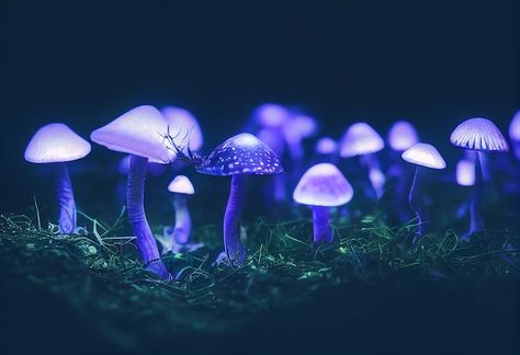 Purple Bioluminescent Mushrooms Psychedelic Mushrooms Neon - Etsy Guyana Neon Mushroom Aesthetic, Mushroom Bioluminescent, Bioluminescence Photography, Purple Mushroom Aesthetic, Glowing Fungi, Cj Core, Bioluminescent Fungi, Mushrooms Purple, Mushrooms Colorful