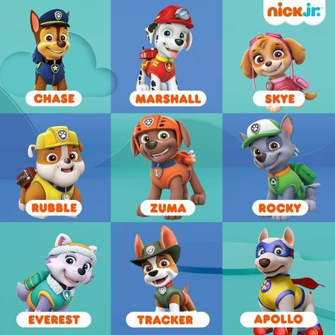 Paw Patrol Names, Imprimibles Paw Patrol, Hulk Character, Paw Patrol Cartoon, Circus Characters, Paw Patrol Characters, Paw Patrol Pups, Character Types, Film Disney