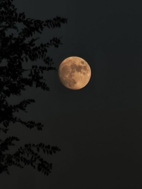 Moon Aesthetic Pictures, Moon Morning, Full Moon Photography, Moonlight Photography, Best Nature Wallpapers, Luna Moon, The Moon Is Beautiful, Look At The Moon, Moon Pictures