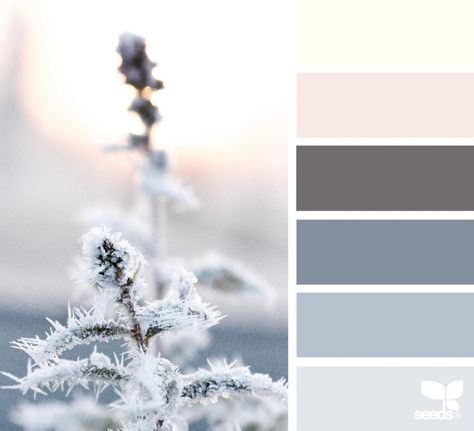 Arctic Frost | design seeds | Bloglovin’ Snow Colour Palette, Winter Solstice Color Palette, Arctic Color Palette, Design Seeds Color Palette, Seeds Color Palette, Tap Truck, Seeds Color, Drawing Desk, Fresh Color Palette