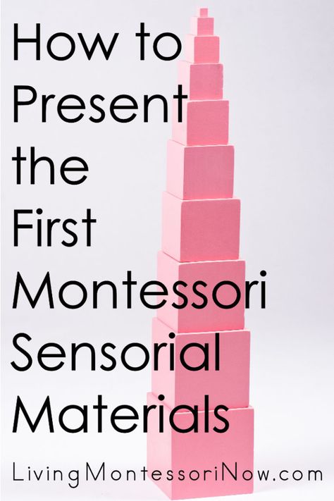 Montessori Basics, Tot Schooling, Montessori Theory, Natural Classroom, Montessori Work, Montessori Activities Preschool, Daycare Business, Diy Montessori, Education Post