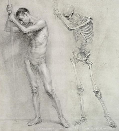 Art gallery on Instagram: “Russian academic drawing from the Repin Academy of Fine Arts in St. Petersburg✍ If you know the author's name - write to me. Follow…” Human Skeleton Anatomy, Academic Drawing, Interesting Drawings, Human Anatomy Drawing, Human Figure Drawing, Academic Art, Human Anatomy Art, Anatomy Sketches, Anatomy For Artists