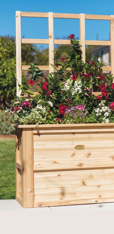 Garden Tools, Planters, Raised Garden Beds +More | Gardener's Supply Unique Flower Pots, Planter Box With Trellis, Elevated Planter Box, Elevated Gardening, Planter Trellis, Cedar Garden, Cedar Planter Box, Growing Vines, Cedar Planters