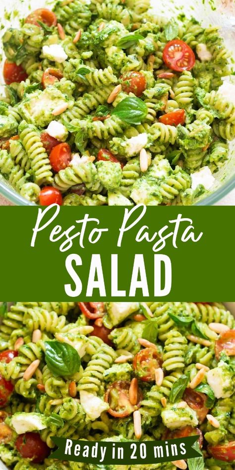 Pesto pasta salad is fresh, delicious, and packs tons of flavors. Spiral pasta is dressed in fresh zesty basil pesto, a dab of mayonnaise, cherry tomatoes, bocconcini, pine nuts, small basil leaves, and lemon juice. It’s great for quick lunch or light dinner or pack it for summer picnic and potlucks. #pestopastasalad #pastasalad #pastarecipes # Easy Pesto Pasta Salad Recipes, South African Pasta Salad Recipes, Pesto Macaroni Salad, Easy Pesto Pasta Salad, Pesto Pasta Salad Recipes Cold, Spiral Pasta Salad, Cold Pesto Pasta, Basil Pesto Pasta Salad, Cold Pesto Pasta Salad