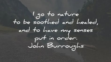 100 Nature Quotes To Make You Grateful For The Outdoors Waiting On God, Nature Journal, Nature Quotes, The Outdoors, Healing, Quotes, Nature