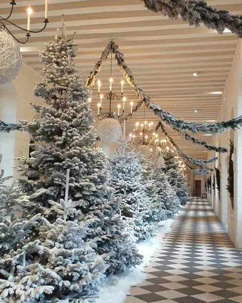 Christmas Photo Backdrops, Christmas Grotto, Božićni Ukrasi, Winter Party Ideas, Christmas Decoration Crafts, Christmas Tree Forest, Christmas Aesthetics, Beautiful Wedding Ideas, Perfume Shop