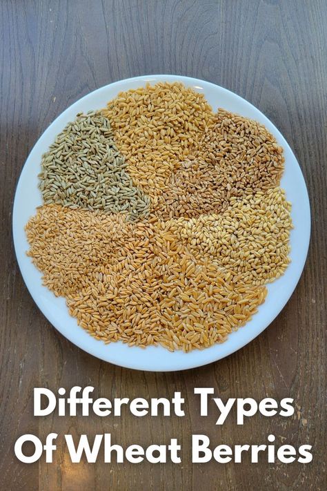 a plate with whole wheat berries divided into wedges showing the variety in sizes and colors. Wheat Berry Bread Recipe, Wheat Berry Recipes, Wheat Seeds, Ancient Grains Recipes, Growing Wheat, Einkorn Recipes, Wheat Berry, Einkorn Flour, Wheat Recipes