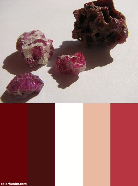 Ruby+Color+Scheme Ruby Color Palette, Ruby Properties, Ruby Red Palette, Luxury Red Color Palette, Red Swatches Colour Palettes, Red Color Pallets, Red Lab, Dark Autumn, Creme Color