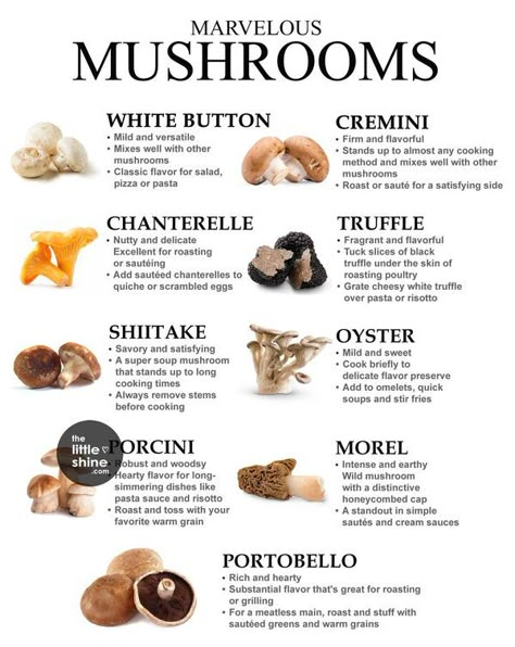 The Little Shine Different Types Of Mushrooms, Types Of Mushrooms, Culinary Lessons, Food Infographic, Holistic Nutrition, Cooking Ingredients, Food Pairings, Food Facts, Food Tips