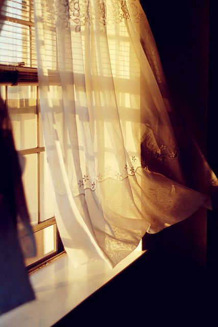 "Keep knocking, and the joy inside will eventually open a window and look out to see who's there." ~rumi An Open Window, Sun Is Shining, Gold Aesthetic, Light Shadow, White Curtains, Window View, Open Window, Golden Lights, Through The Window