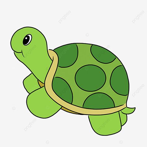 Hewan Kura Kura, Tortoise Cartoon, Pelajaran Tk, Cartoon Tortoise, Turtle Image, Lily Drawing, Lilies Drawing, Turtle Images, Mind Map Design