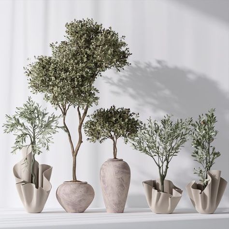 Mission Olive Tree Indoor Vase 01 House Trees Indoor, Olive Tree Indoor Decor, Olive Tree Decor Ideas, Olive Tree Interior, Pot Styling, Olive Tree Indoor, Olive Tree Care, Growing Olive Trees, Garden Fairy Costume