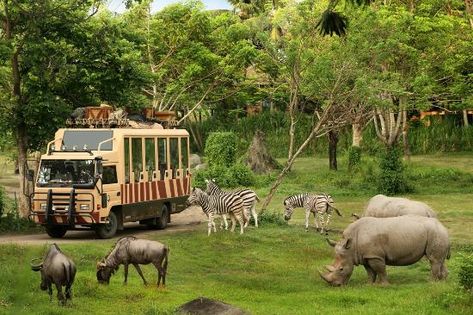 Bali Safari & Marine Park, Gianyar: See 2,761 reviews, articles, and 2,031 photos of Bali Safari & Marine Park, ranked No.4 on TripAdvisor among 62 attractions in Gianyar. Bali In December, Bali With Kids, Jungle Resort, Bali Honeymoon, Voyage Bali, Bali Holidays, Bali Travel Guide, Bali Island, Jimbaran