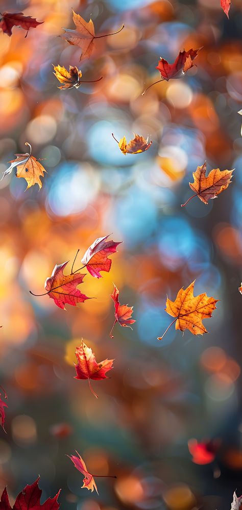 Free Fall Wallpapers To Transform Your Phone This Autumn - Our Happy Corner Four Seasons Landscape, Fall Wallpaper Android, Aesthetic Autumn Wallpaper Iphone, Free Wallpaper For Android Phone, Fall Wallpapers For Iphone, November Backgrounds, Cute Fall Backgrounds, Fall Background Wallpaper, Free Fall Wallpaper