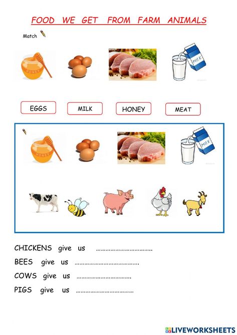 What Do Farm Animals Eat, Farm Animals Worksheet, Farm Worksheet, Animals Worksheet, Fun On The Farm, Animal Worksheets, Preschool Math Worksheets, Food Activities, Australia Animals