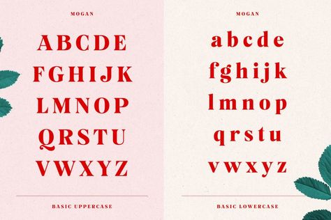 Mogan Font by Tobias Saul Recommended Fonts, Serif Lettering, Font Numbers, Font Guide, Jewellery Business, Display Fonts, Upper And Lowercase Letters, Font Face, Favorite Fonts