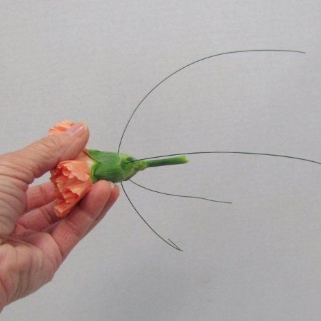 Corsage Carnation, Carnation Boutonniere, Make Your Own Bridal Bouquet, Carnation Wedding, Diy Boutonniere, Wedding Corsages, Church Decorations, Florist Supplies, Reception Centerpieces