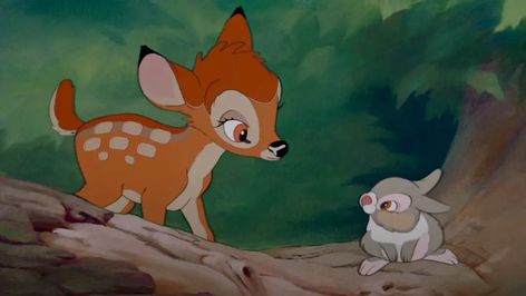 Disney Friendship Quotes, Bambi 1942, Bambi And Thumper, Bambi Disney, Disney Screencaps, Little Einsteins, Lilo Et Stitch, Le Roi Lion, Disney Live Action