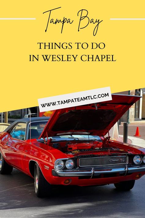 Fun things to do in Wesley Chapel FL Wesley Chapel Florida, Vacation Ideas, Tampa Bay, Fun Things, Tampa, Fun Things To Do, Things To Do, Florida