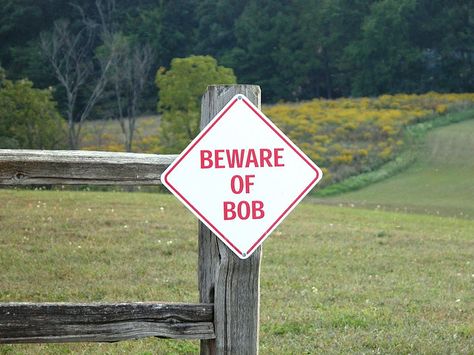 “Beware of Bob” Weird Town Names, Funny Street Signs, Funny Road Signs, Dump A Day, Clean Humor, Road Signs, Street Signs, Warning Signs, Sign Quotes