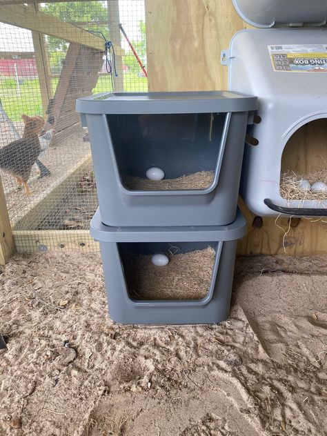 Rooster House Diy, Roost Boxes Chicken, Plastic Chicken Nesting Boxes, Nesting Box For Ducks, Cheap Chicken Nesting Boxes, Nesting Boxes Under Roost, Farm Animal Food Storage, Diy Roosting Boxes For Chickens, Diy Hen Nesting Boxes