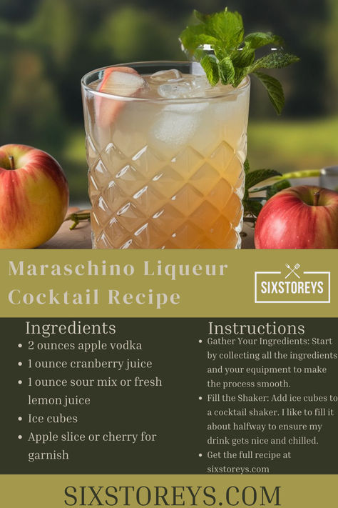 Washington Apple Cocktail Recipe Apple Cocktail Recipes, Apple Vodka, Washington Apple, Juice Ice Cubes, Apple Cocktail, Sour Mix, Drink Ideas, Cozy Night, Cranberry Juice