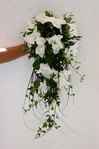 https://flic.kr/p/agTD8N | Gladiolus Bridal Bouquet Wedding Bouquet Ivy, Gladiolus Bridal Bouquet, Gladiolus Wedding Bouquet, Gladiolus Wedding Flowers, Gothic Wedding Aesthetic, Gladiolus Wedding, White Gladiolus, Gladiolus Bouquet, Art Nouveau Garden