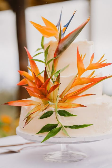 Wedding cake decorated with birds of paradise and haleconia Tropical Floral Wedding, Bird Of Paradise Wedding, Kona Wedding, Hawaii Luxury, Tropical Wedding Cake, Wedding Cake Birds, Bird Of Paradise Flower, Wedding Birds, Tropical Wedding Inspiration