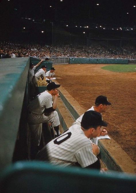 White Sox Aesthetic, 90s Baseball Aesthetic, Baseball Aesthetic Boy, Baseball Boy Aesthetic, Vintage Baseball Aesthetic, Baseball Aesthetic Wallpaper, Baseball Boys Aesthetic, Yankees Aesthetic, Rhodes Aesthetic