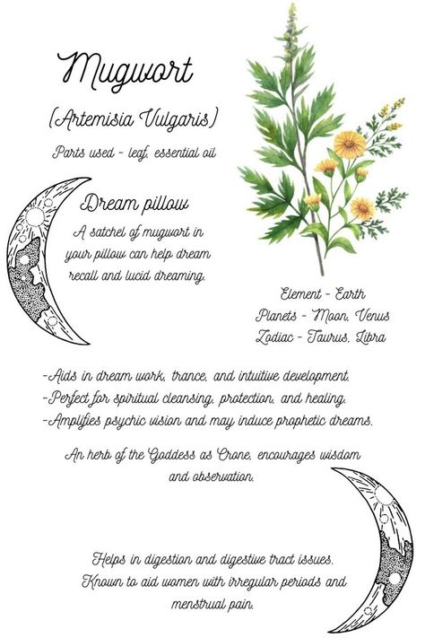 ThisThriftyHouse - Etsy Plant Growth Spell, Mugwort Witchcraft, Mugwort Benefits, Mugwort Herb, Magickal Herbs, Witch Herbs, Witch Spirituality, Grimoire Book, Wiccan Spell Book