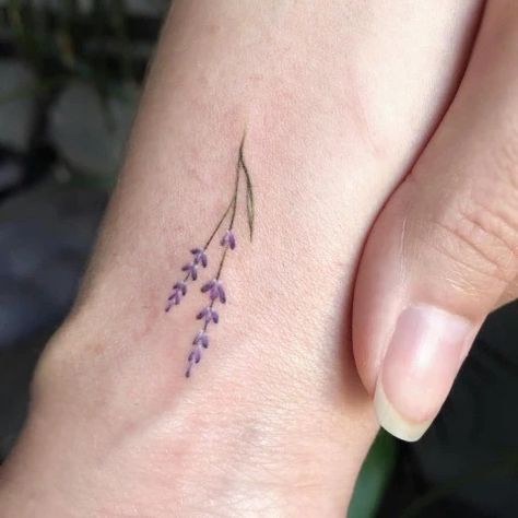 70+ Lavenders Tattoo Meanings Ideas and Designs – neartattoos Lavender Semicolon Tattoo, Matching Lavender Tattoo, Dainty Lavender Tattoo, Violet And Lavender Tattoo, Lavender Stick And Poke, Simple Lavender Tattoo, Minimal Lavender Tattoo, Lavender Tattoo Design, Lavender Tattoo Black