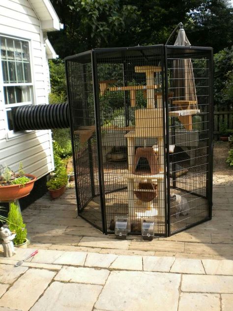 Diy Jouet Pour Chat, Katt Diy, Catio Ideas, Katt Grejer, Chat Diy, Cat Enclosures, Cat Patio, Cat Run, Outdoor Cat Enclosure