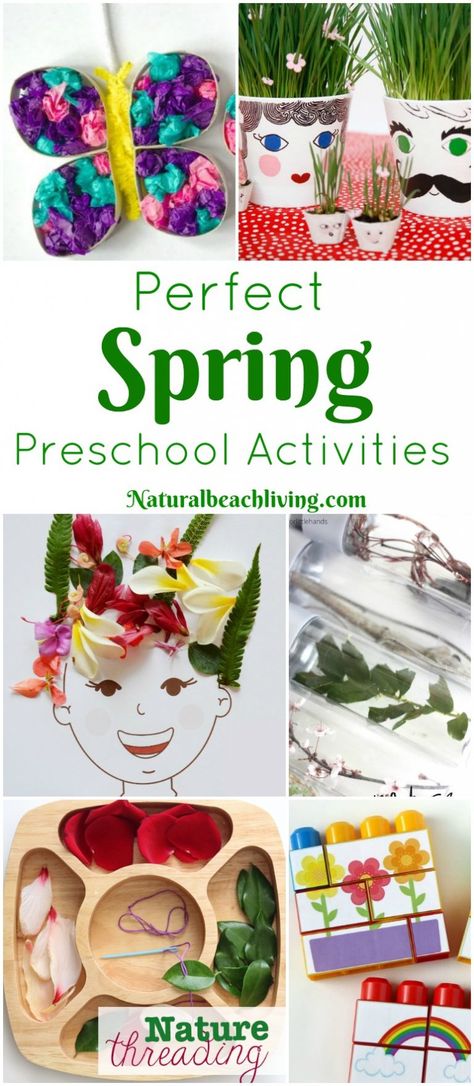 The Best Spring Preschool Themes and Lesson Plans, Free Printables, Life cycles for kids, Flower activities, Farm activities for preschool, Preschool books, Pond Theme, Animal habitats, preschool themes, Fun Preschool Themes, List of Spring Preschool Themes, Find The Best Preschool Themes and activities here Life Cycles Preschool Activities, Preschool Lesson Plans Themes, Life Cycles Preschool, Spring Activities For Kids, Spring Lesson Plans, Spring Theme Preschool, Spring Preschool Activities, Spring Lessons, Butterflies Activities