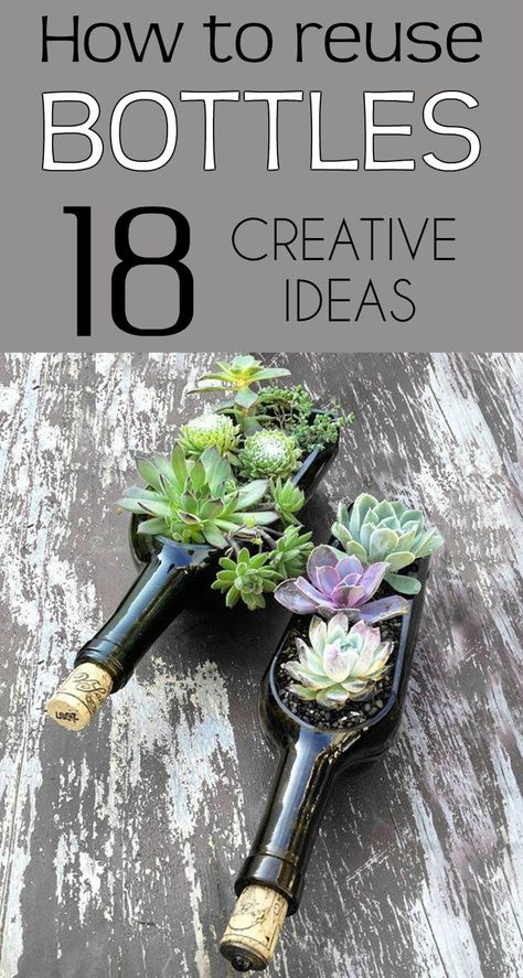 Reuse Bottles, Wine Bottle Planter, Old Wine Bottles, Empty Wine Bottles, Recycled Wine Bottle, Bottle Garden, Cool Ideas, Diy Wine, Diy Garden Projects