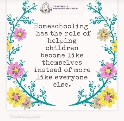 Wild And Free Homeschool Quotes, Why Homeschool Quotes, Homeschool Sayings, Homeschool Quotes Inspiration, First Day Of Homeschool Ideas, Homeschooling Quotes, First Day Of Homeschool, Homeschool Humor, Homeschool Quotes