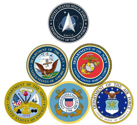 Eye Health Facts, Branches Of The Military, Different Country Flags, Veteran Logo, Usa Stickers, Logo Usa, Priscilla Barnes, Army Symbol, Ipad Lockscreen