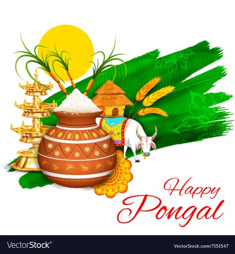 Kanuma Festival, Happy Kanuma, Pongal Images, Thai Pongal, Happy Pongal Wishes, Hbd Quotes, Happy Pongal, Happy Makar Sankranti, Wedding Album Design